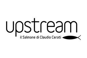 Up Stream Italiana